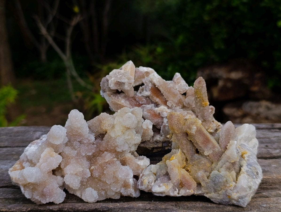 Natural Fairy Spirit Quartz Clusters x 12 From Boekenhouthoek, South Africa - Toprock Gemstones and Minerals 