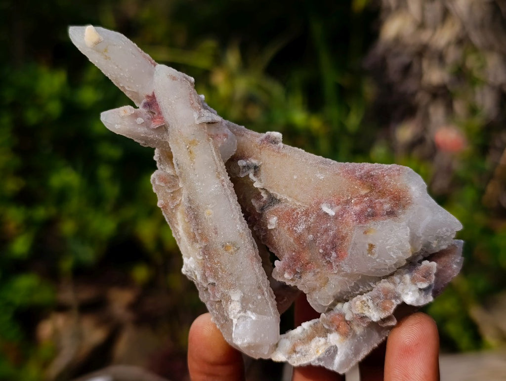 Natural Fairy Spirit Quartz Clusters x 12 From Boekenhouthoek, South Africa - Toprock Gemstones and Minerals 