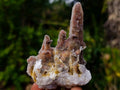 Natural Fairy Spirit Quartz Clusters x 12 From Boekenhouthoek, South Africa - Toprock Gemstones and Minerals 