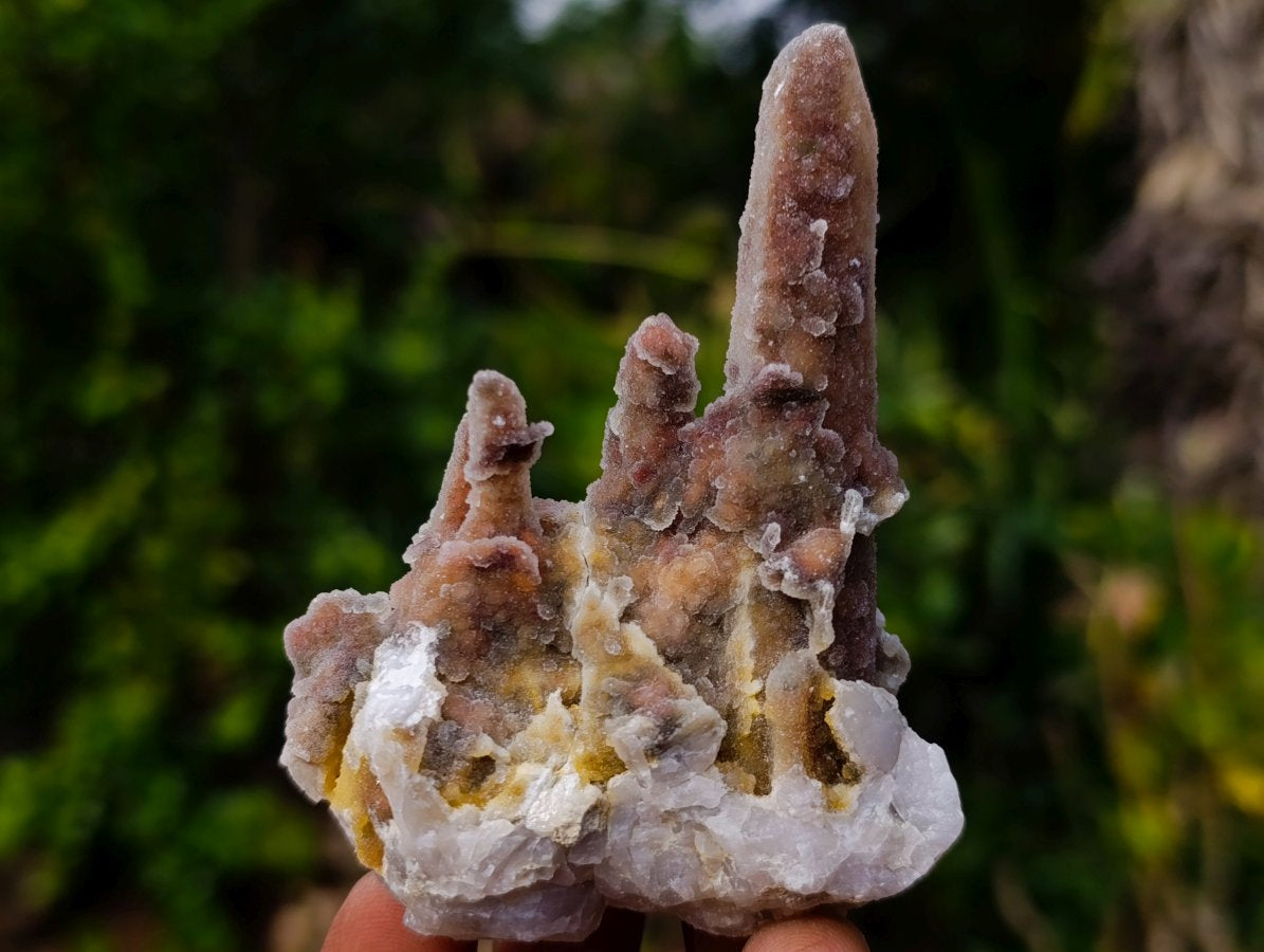 Natural Fairy Spirit Quartz Clusters x 12 From Boekenhouthoek, South Africa - Toprock Gemstones and Minerals 