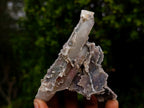 Natural Fairy Spirit Quartz Clusters x 12 From Boekenhouthoek, South Africa - Toprock Gemstones and Minerals 