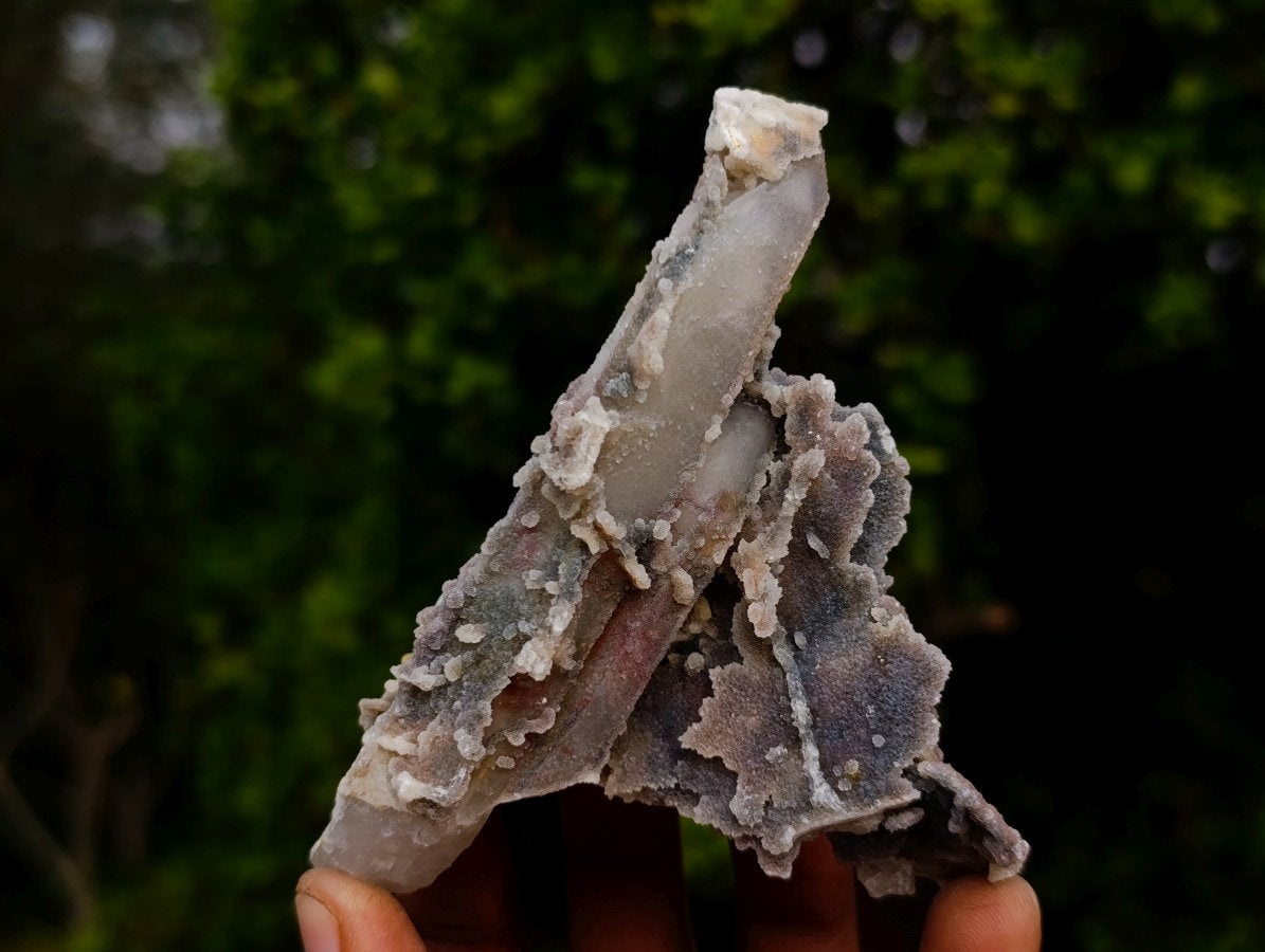 Natural Fairy Spirit Quartz Clusters x 12 From Boekenhouthoek, South Africa - Toprock Gemstones and Minerals 