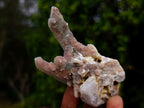 Natural Fairy Spirit Quartz Clusters x 12 From Boekenhouthoek, South Africa - Toprock Gemstones and Minerals 