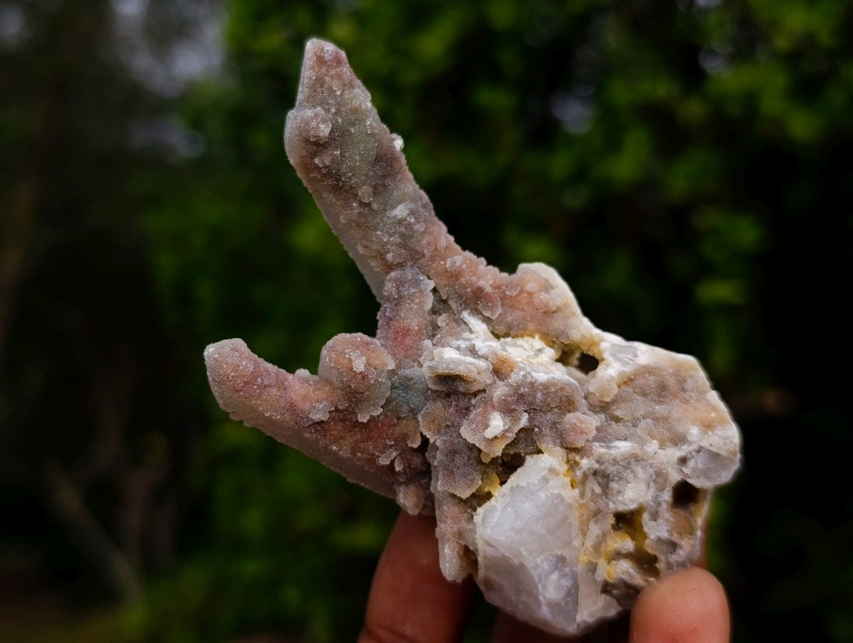 Natural Fairy Spirit Quartz Clusters x 12 From Boekenhouthoek, South Africa - Toprock Gemstones and Minerals 