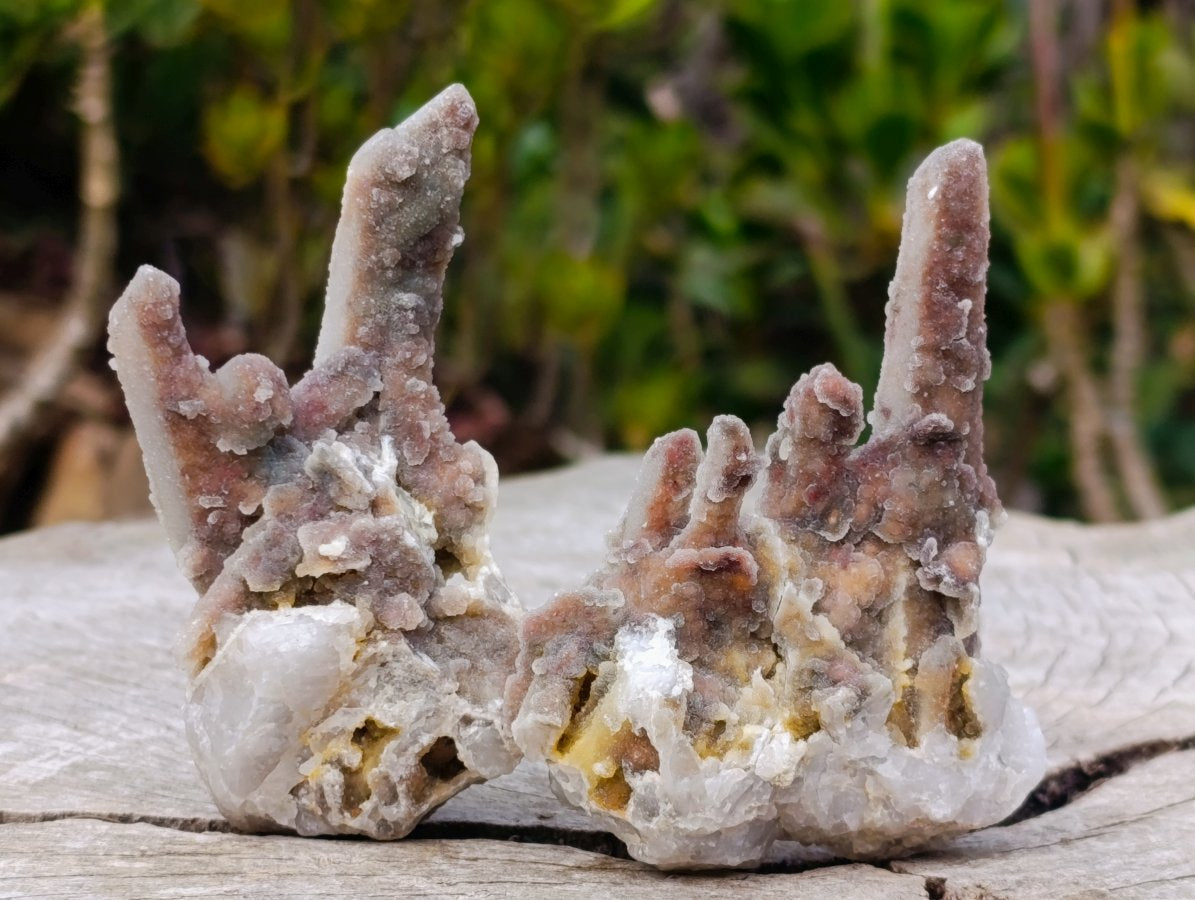Natural Fairy Spirit Quartz Clusters x 12 From Boekenhouthoek, South Africa - Toprock Gemstones and Minerals 