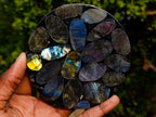 Polished Labradorite Coasters x 5 From Madagascar - Toprock Gemstones and Minerals 