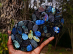 Polished Labradorite Coasters x 5 From Madagascar - Toprock Gemstones and Minerals 