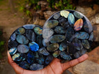 Polished Labradorite Coasters x 5 From Madagascar - Toprock Gemstones and Minerals 