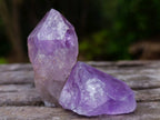 Natural Jacaranda Amethyst Single Crystals x 35 From Mumbwa, Zambia - Toprock Gemstones and Minerals 