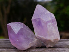 Natural Jacaranda Amethyst Single Crystals x 35 From Mumbwa, Zambia - Toprock Gemstones and Minerals 