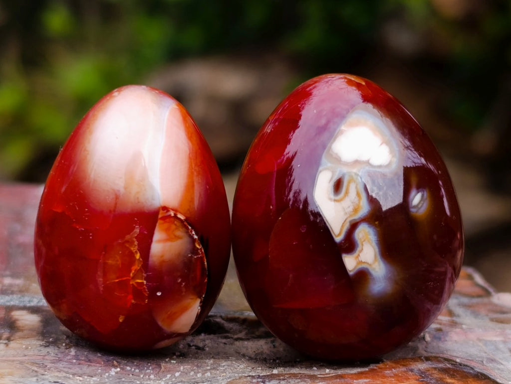 Polished Carnelian Agate Gemstone Eggs x 24 From Madagascar - Toprock Gemstones and Minerals 
