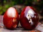 Polished Carnelian Agate Gemstone Eggs x 24 From Madagascar - Toprock Gemstones and Minerals 