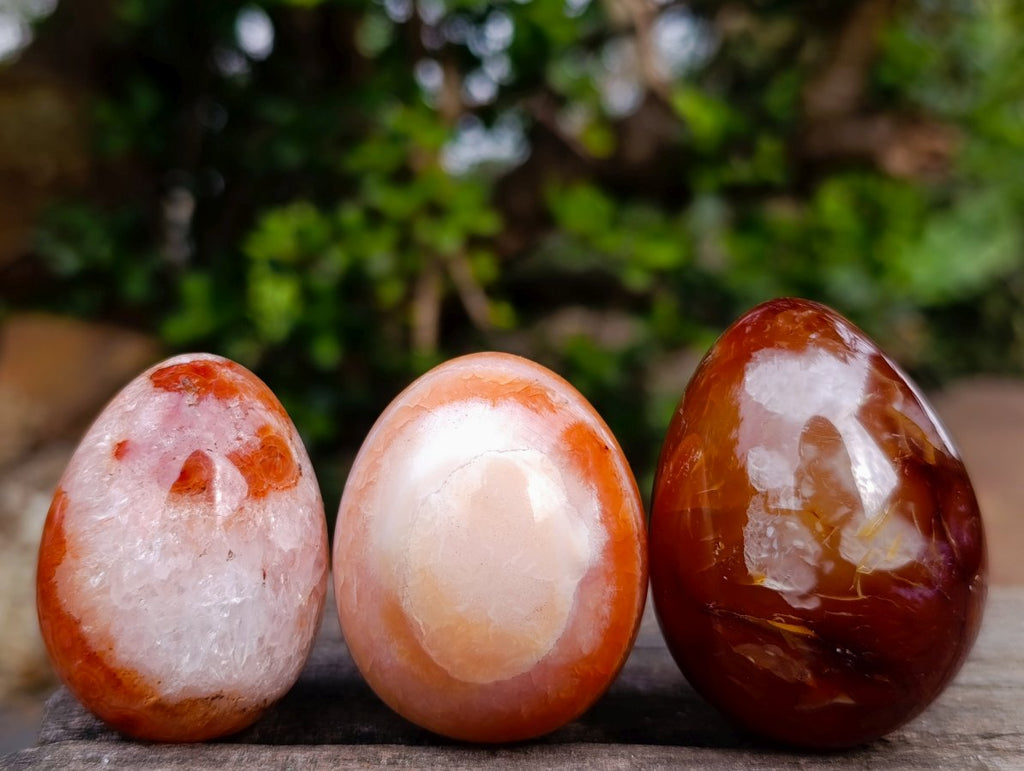 Polished Carnelian Agate Gemstone Eggs x 24 From Madagascar - Toprock Gemstones and Minerals 