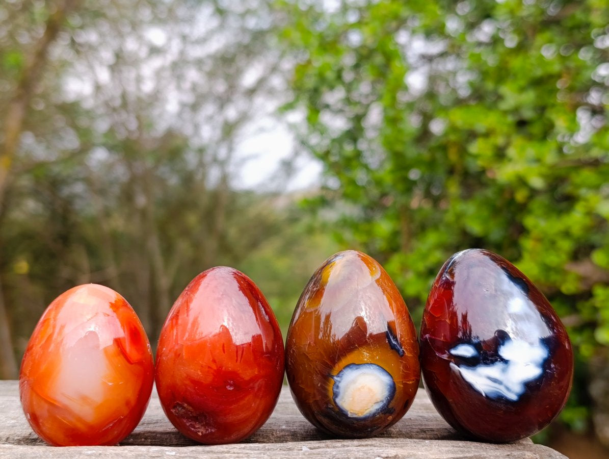 Polished Carnelian Agate Gemstone Eggs x 24 From Madagascar - Toprock Gemstones and Minerals 