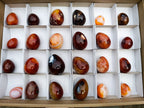 Polished Carnelian Agate Gemstone Eggs x 24 From Madagascar - Toprock Gemstones and Minerals 
