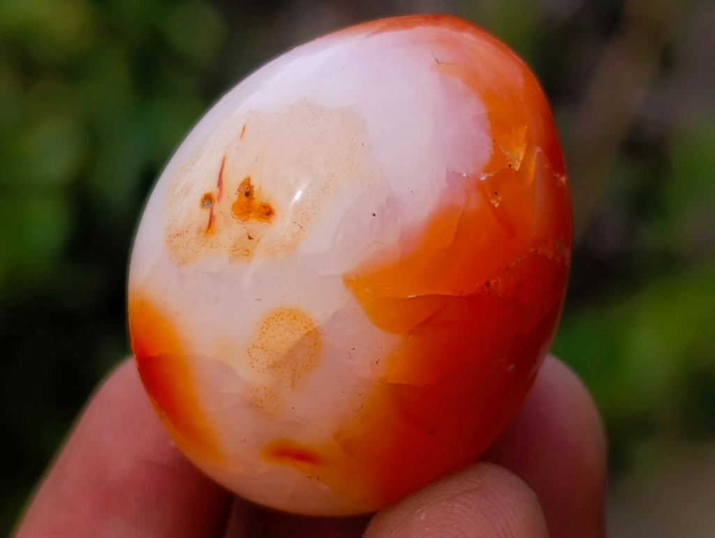 Polished Carnelian Agate Gemstone Eggs x 24 From Madagascar - Toprock Gemstones and Minerals 