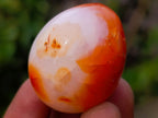 Polished Carnelian Agate Gemstone Eggs x 24 From Madagascar - Toprock Gemstones and Minerals 