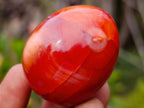 Polished Carnelian Agate Gemstone Eggs x 24 From Madagascar - Toprock Gemstones and Minerals 