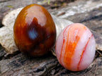 Polished Carnelian Agate Gemstone Eggs x 24 From Madagascar - Toprock Gemstones and Minerals 