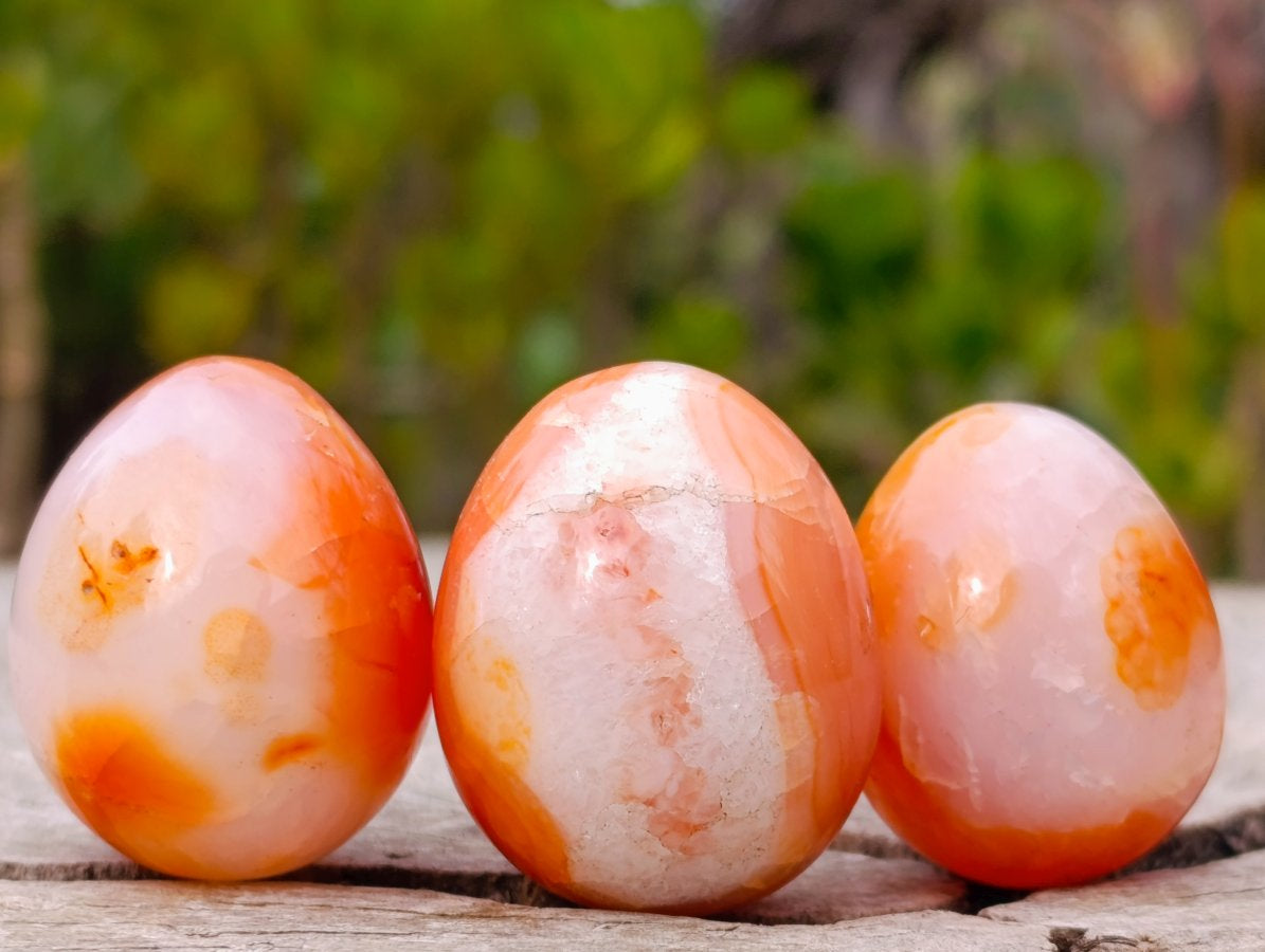 Polished Carnelian Agate Gemstone Eggs x 24 From Madagascar - Toprock Gemstones and Minerals 