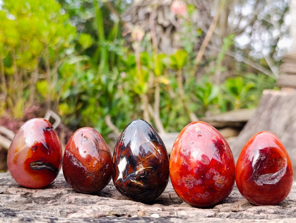 Polished Carnelian Agate Gemstone Eggs x 24 From Madagascar - Toprock Gemstones and Minerals 