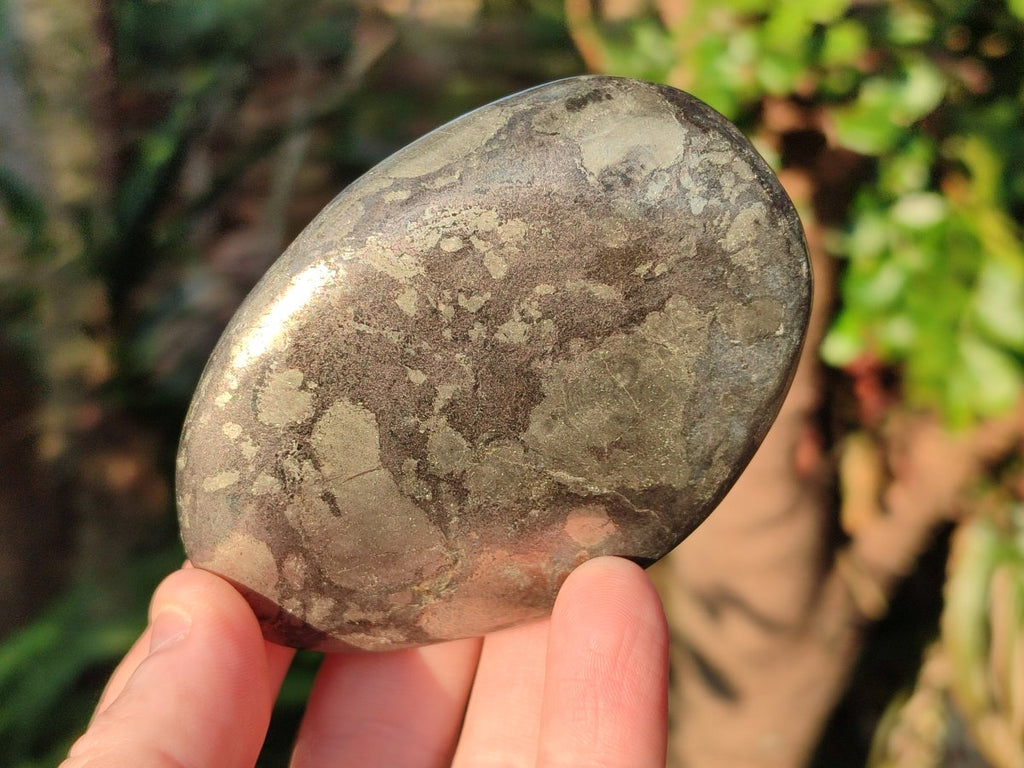 Polished XL Basalt Pharaoh Stone Galets x 6 From Iron Duke Mine, Zimbabwe - Toprock Gemstones and Minerals 