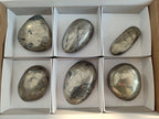 Polished XL Basalt Pharaoh Stone Galets x 6 From Iron Duke Mine, Zimbabwe - Toprock Gemstones and Minerals 