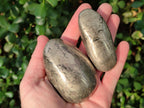 Polished XL Basalt Pharaoh Stone Galets x 6 From Iron Duke Mine, Zimbabwe - Toprock Gemstones and Minerals 