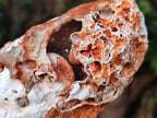 Polished Banded Agate with Crystalline Geodes x 3 From Maintirano, Madagascar - Toprock Gemstones and Minerals 