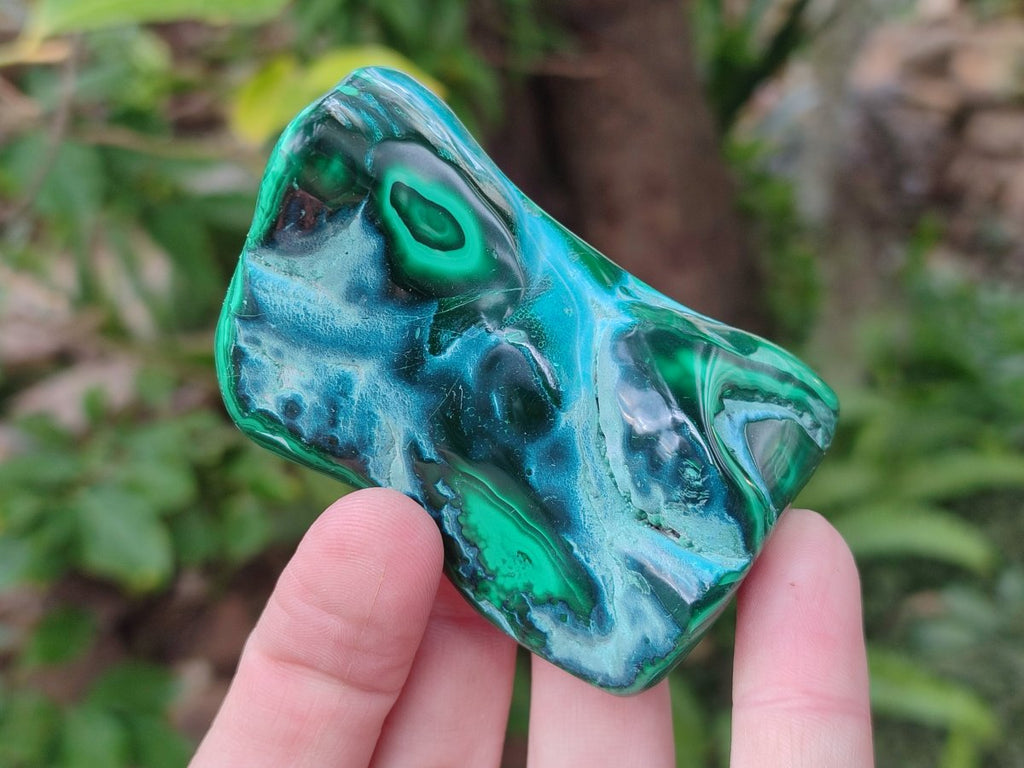 Polished Malacolla Free Forms x 6 From Kulukuluku, Congo - Toprock Gemstones and Minerals 