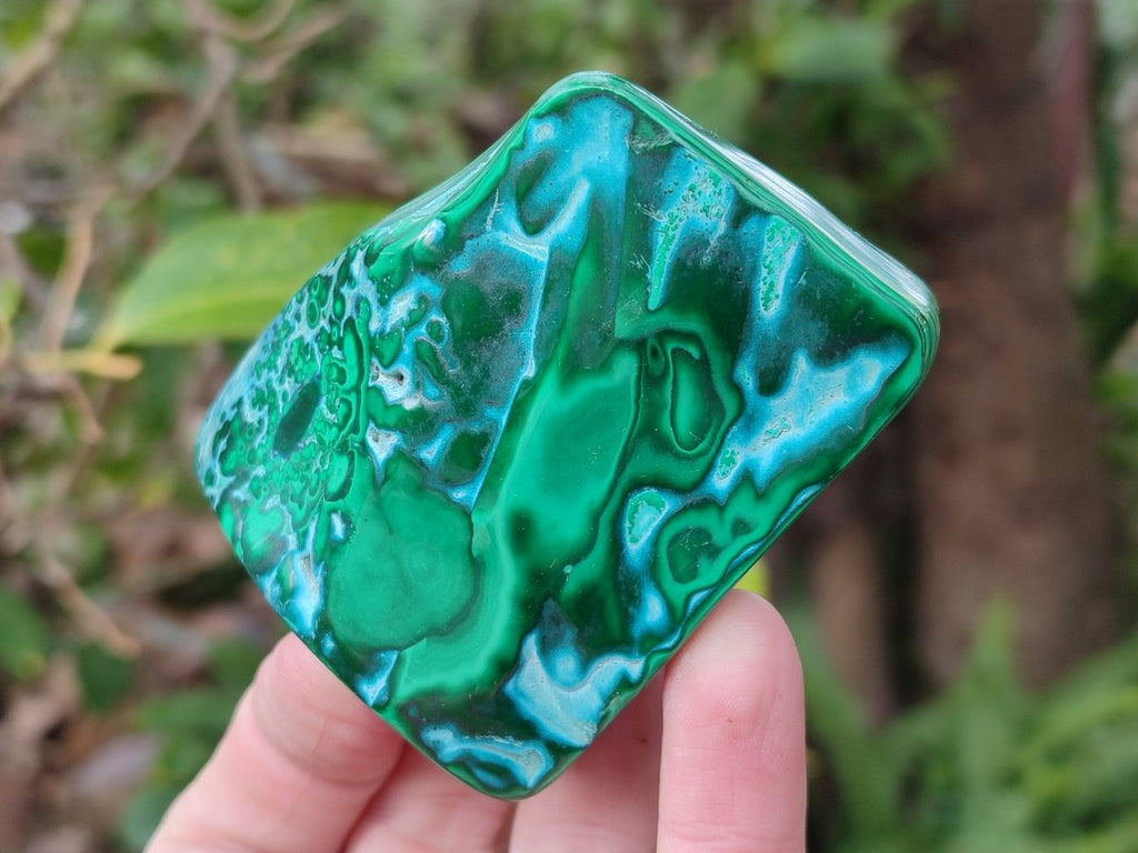 Polished Malacolla Free Forms x 6 From Kulukuluku, Congo - Toprock Gemstones and Minerals 