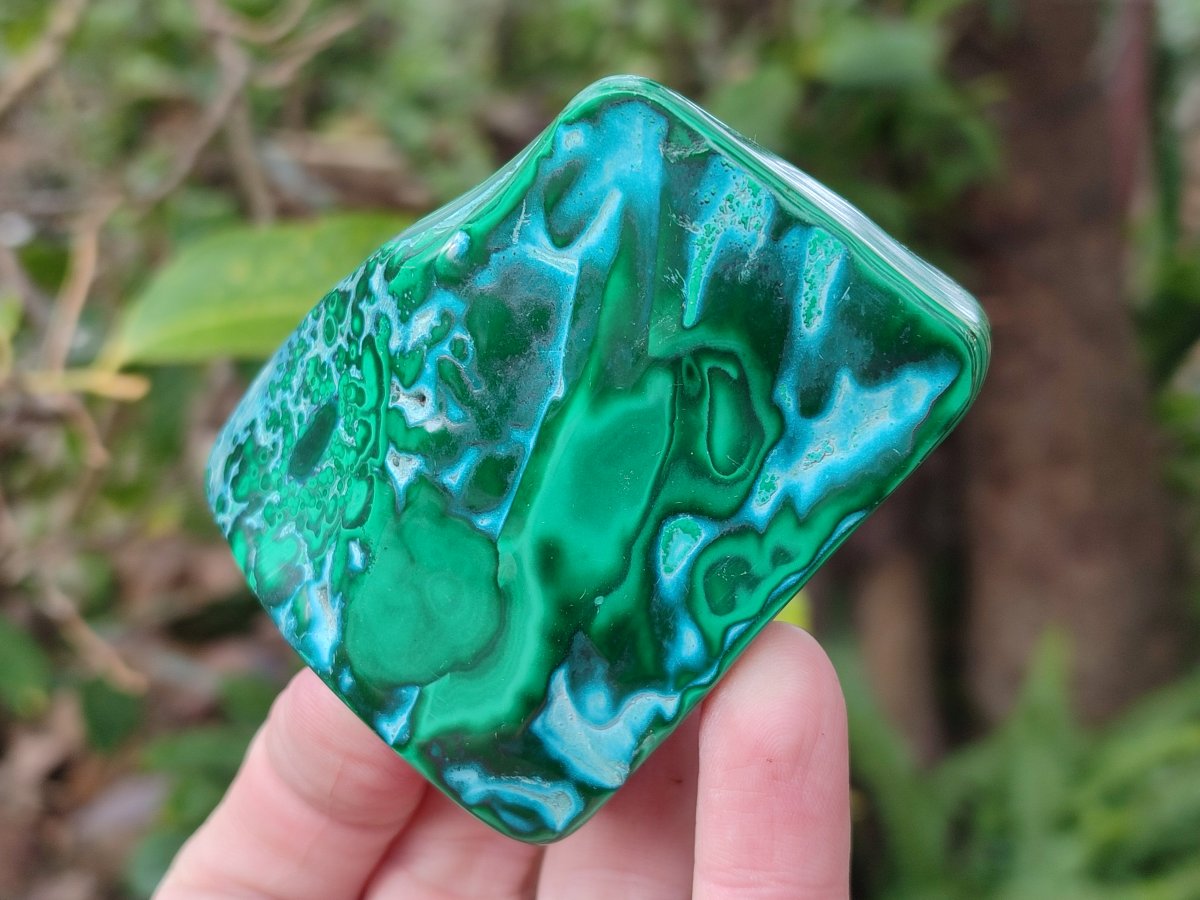 Polished Malacolla Free Forms x 6 From Kulukuluku, Congo - Toprock Gemstones and Minerals 