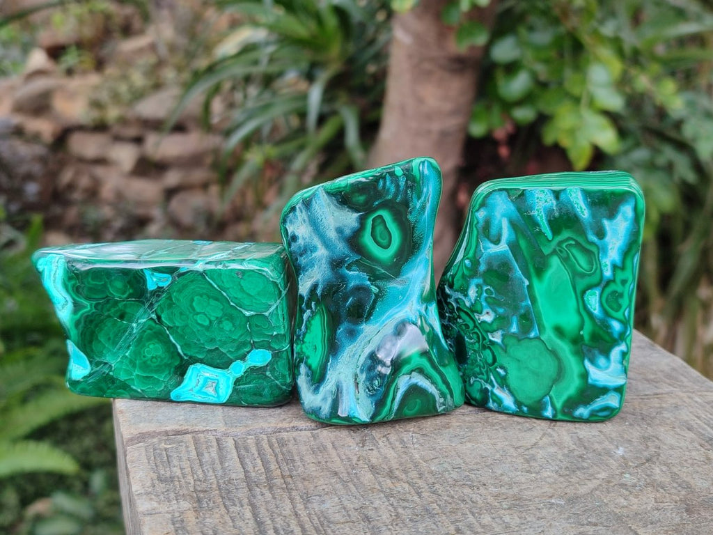 Polished Malacolla Free Forms x 6 From Kulukuluku, Congo - Toprock Gemstones and Minerals 