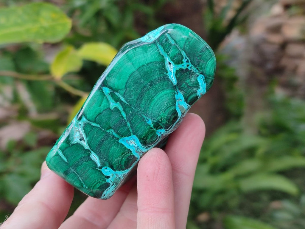 Polished Malacolla Free Forms x 6 From Kulukuluku, Congo - Toprock Gemstones and Minerals 