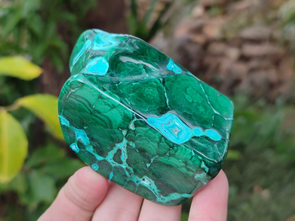 Polished Malacolla Free Forms x 6 From Kulukuluku, Congo - Toprock Gemstones and Minerals 