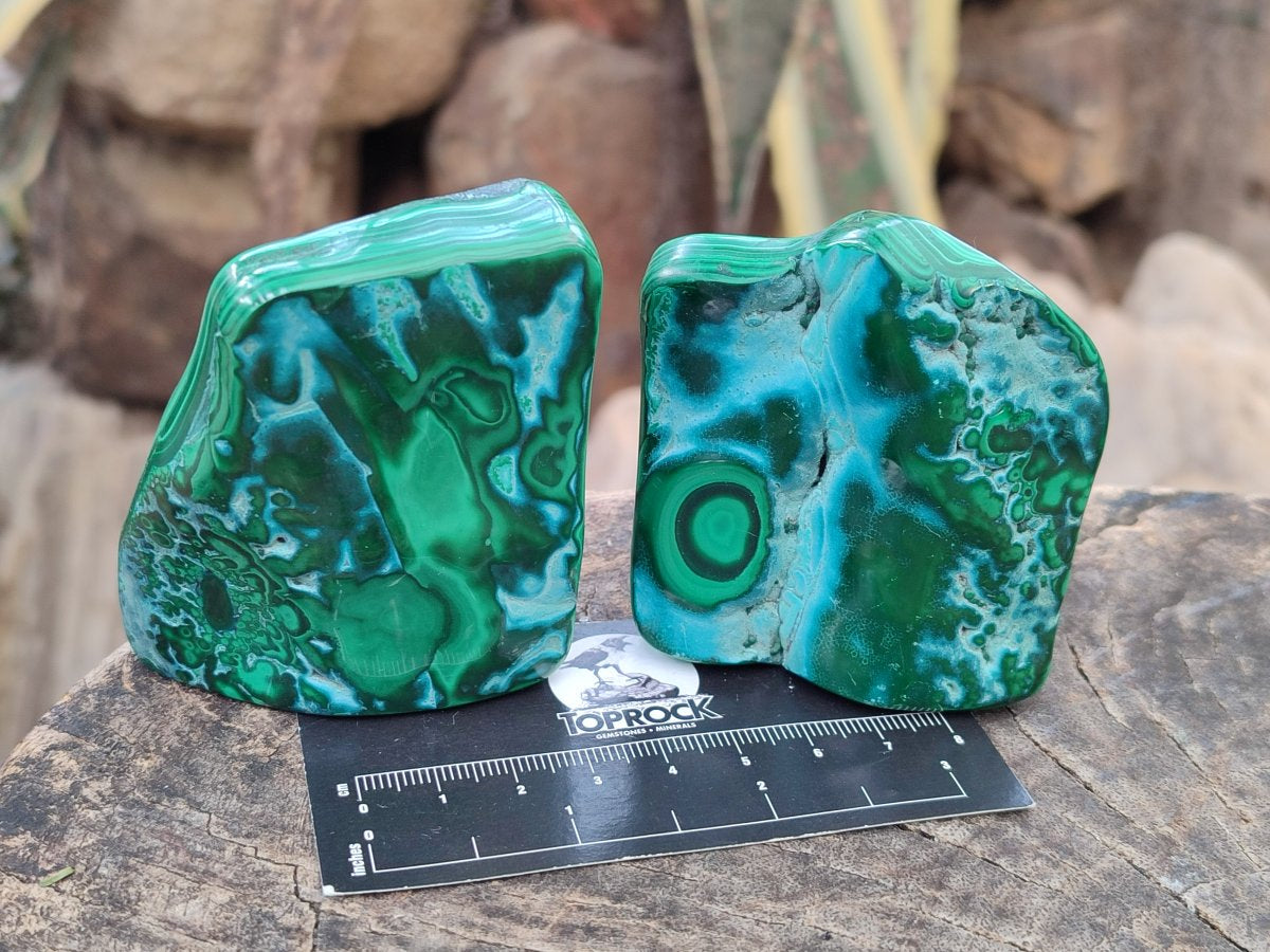 Polished Malacolla Free Forms x 6 From Kulukuluku, Congo - Toprock Gemstones and Minerals 