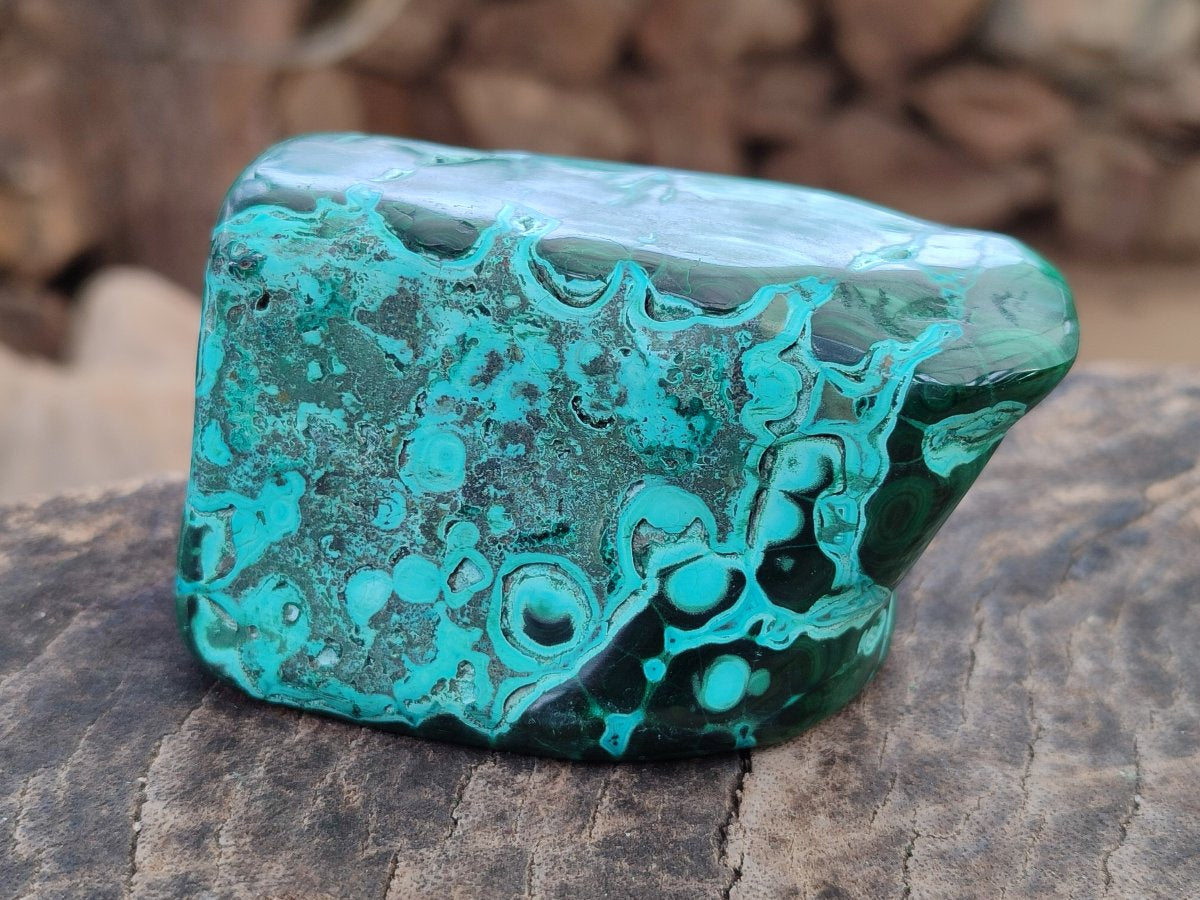 Polished Malacolla Free Forms x 6 From Kulukuluku, Congo - Toprock Gemstones and Minerals 