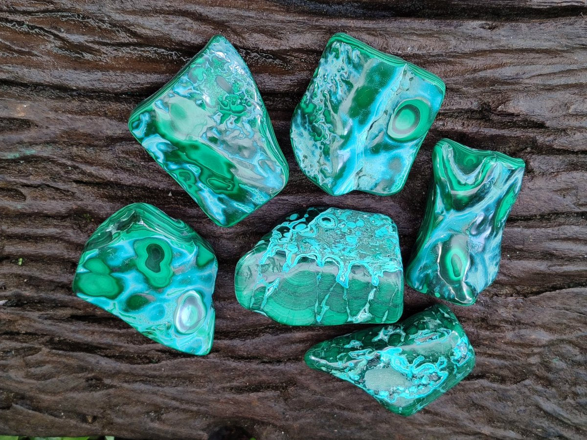 Polished Malacolla Free Forms x 6 From Kulukuluku, Congo - Toprock Gemstones and Minerals 