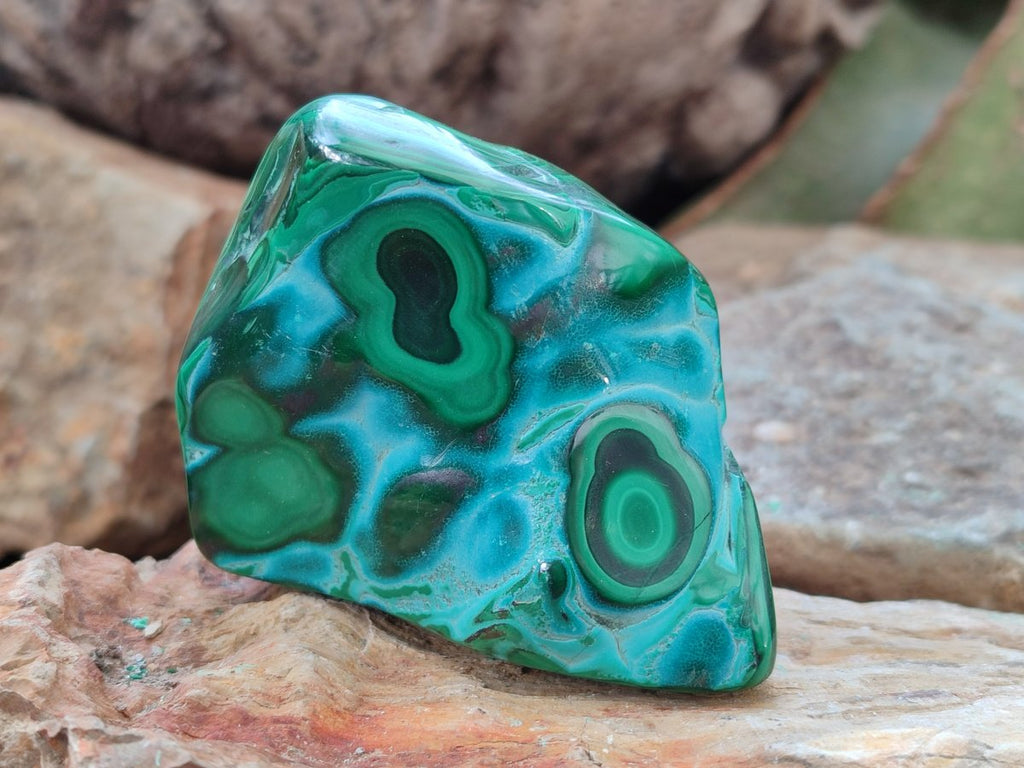 Polished Malacolla Free Forms x 6 From Kulukuluku, Congo - Toprock Gemstones and Minerals 