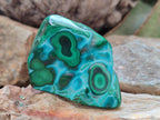 Polished Malacolla Free Forms x 6 From Kulukuluku, Congo - Toprock Gemstones and Minerals 