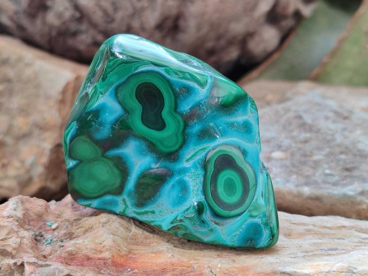 Polished Malacolla Free Forms x 6 From Kulukuluku, Congo - Toprock Gemstones and Minerals 
