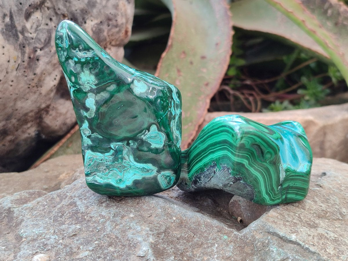 Polished Malacolla Free Forms x 6 From Kulukuluku, Congo - Toprock Gemstones and Minerals 