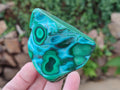 Polished Malacolla Free Forms x 6 From Kulukuluku, Congo - Toprock Gemstones and Minerals 