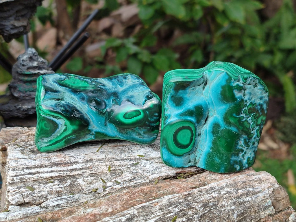 Polished Malacolla Free Forms x 6 From Kulukuluku, Congo - Toprock Gemstones and Minerals 