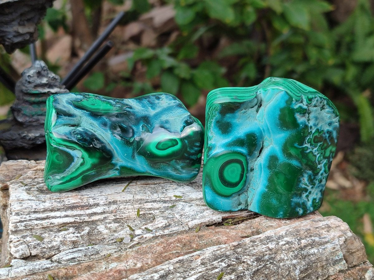 Polished Malacolla Free Forms x 6 From Kulukuluku, Congo - Toprock Gemstones and Minerals 