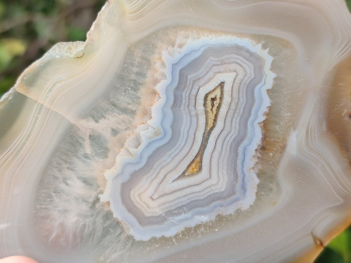Polished Banded Agate Slices with Natural Edging x 12 From Madagascar - Toprock Gemstones and Minerals 