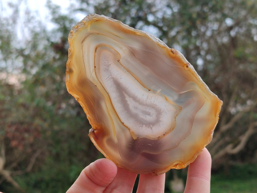 Polished Banded Agate Slices with Natural Edging x 12 From Madagascar - Toprock Gemstones and Minerals 
