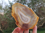 Polished Banded Agate Slices with Natural Edging x 12 From Madagascar - Toprock Gemstones and Minerals 