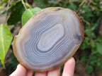 Polished Banded Agate Slices with Natural Edging x 12 From Madagascar - Toprock Gemstones and Minerals 