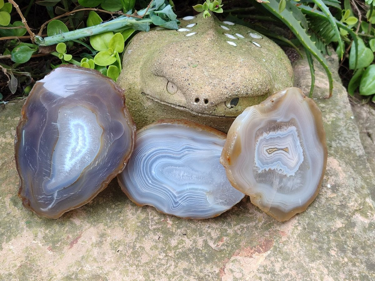 Polished Banded Agate Slices with Natural Edging x 12 From Madagascar - Toprock Gemstones and Minerals 